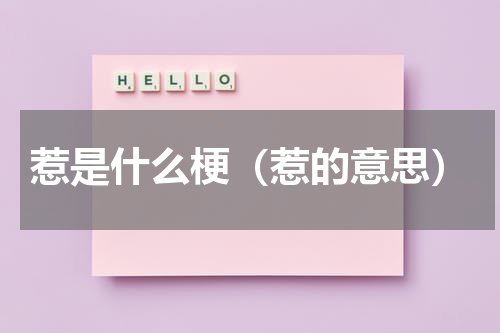 惹是什么梗（惹的意思）