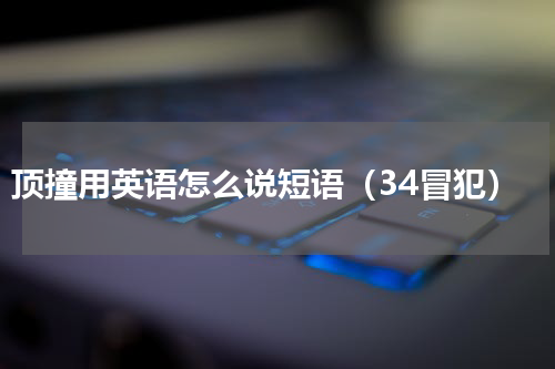 顶撞用英语怎么说短语（34冒犯）