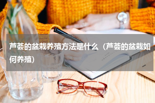 芦荟的盆栽养殖方法是什么（芦荟的盆栽如何养殖）