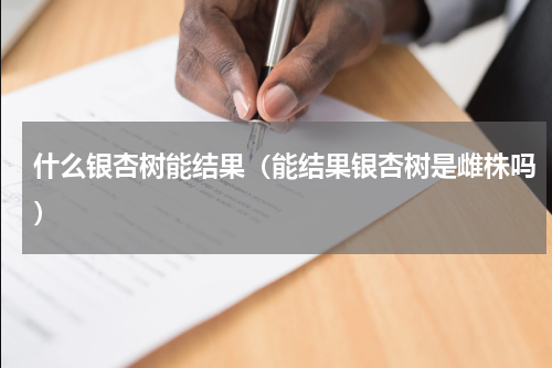 什么银杏树能结果（能结果银杏树是雌株吗）