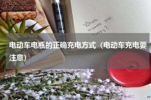 电动车电瓶的正确充电方式（电动车充电要注意）