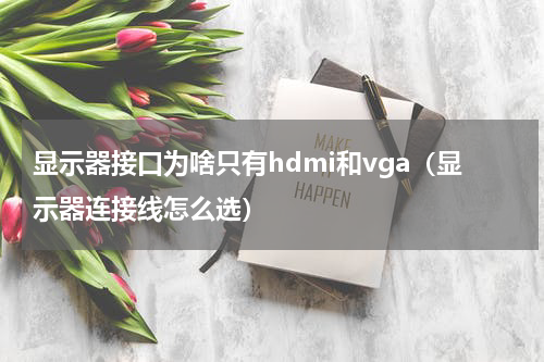 显示器接口为啥只有hdmi和vga（显示器连接线怎么选）