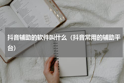 抖音辅助的软件叫什么（抖音常用的辅助平台）