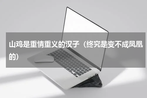 山鸡是重情重义的汉子（终究是变不成凤凰的）