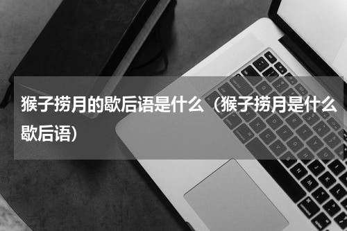 猴子捞月的歇后语是什么（猴子捞月是什么歇后语）