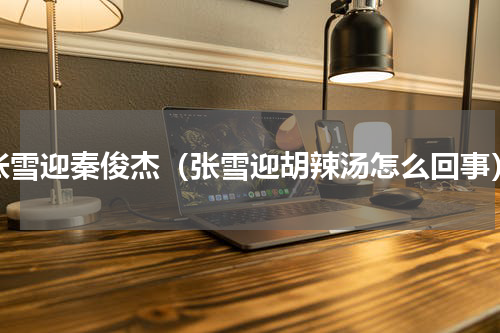张雪迎秦俊杰（张雪迎胡辣汤怎么回事）