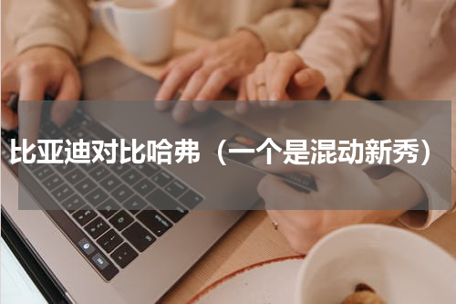 比亚迪对比哈弗（一个是混动新秀）