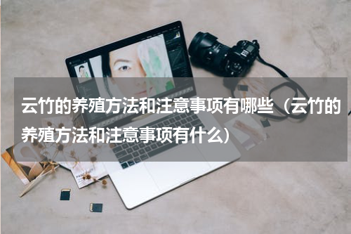 云竹的养殖方法和注意事项有哪些（云竹的养殖方法和注意事项有什么）