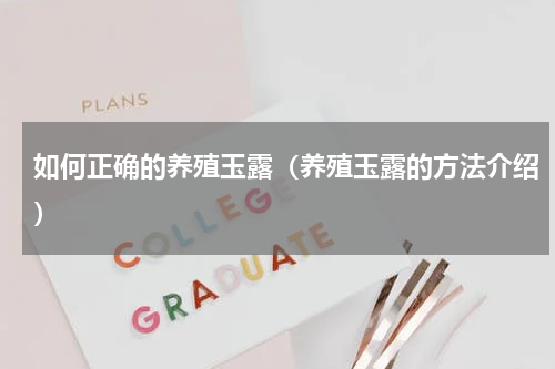 如何正确的养殖玉露（养殖玉露的方法介绍）