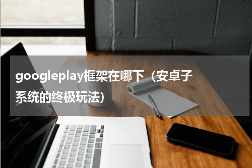 googleplay框架在哪下（安卓子系统的终极玩法）