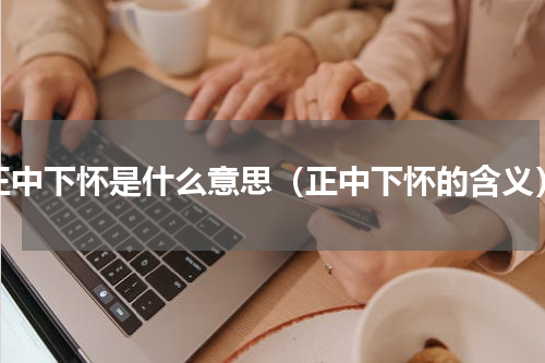 正中下怀是什么意思（正中下怀的含义）