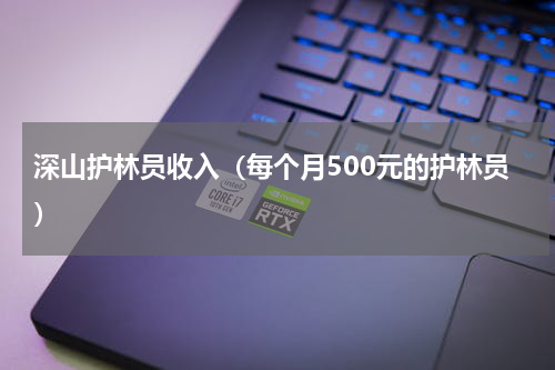 深山护林员收入（每个月500元的护林员）