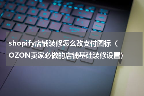 shopify店铺装修怎么改支付图标（OZON卖家必做的店铺基础装修设置）