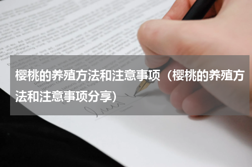 樱桃的养殖方法和注意事项（樱桃的养殖方法和注意事项分享）