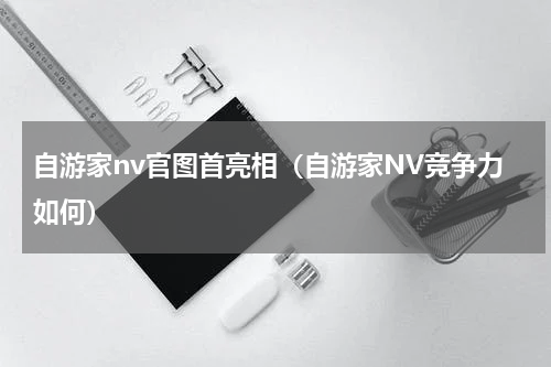 自游家nv官图首亮相（自游家NV竞争力如何）