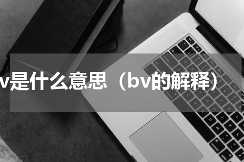 bv是什么意思（bv的解释）