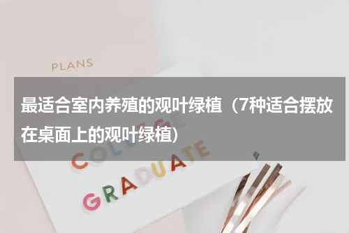 最适合室内养殖的观叶绿植（7种适合摆放在桌面上的观叶绿植）