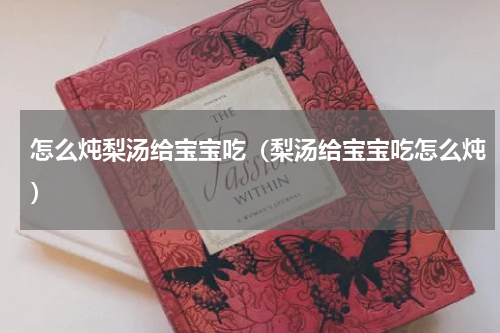怎么炖梨汤给宝宝吃（梨汤给宝宝吃怎么炖）
