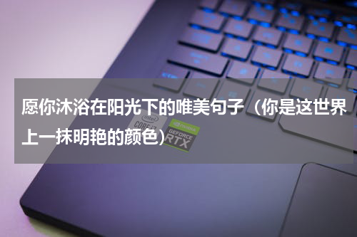 愿你沐浴在阳光下的唯美句子（你是这世界上一抹明艳的颜色）