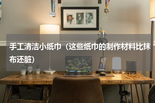 手工清洁小纸巾（这些纸巾的制作材料比抹布还脏）