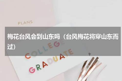 梅花台风会到山东吗（台风梅花将穿山东而过）