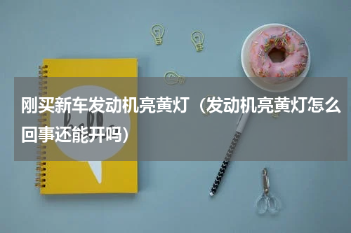 刚买新车发动机亮黄灯（发动机亮黄灯怎么回事还能开吗）