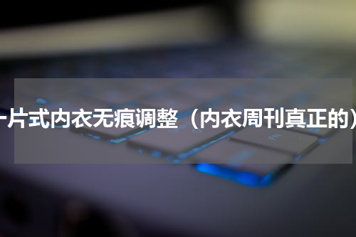 一片式内衣无痕调整（内衣周刊真正的）