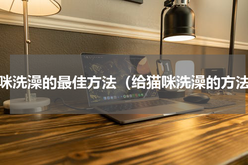 猫咪洗澡的最佳方法（给猫咪洗澡的方法）