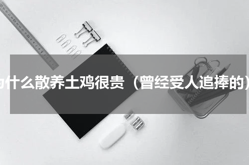 为什么散养土鸡很贵（曾经受人追捧的）