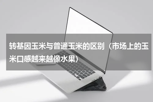 转基因玉米与普通玉米的区别（市场上的玉米口感越来越像水果）