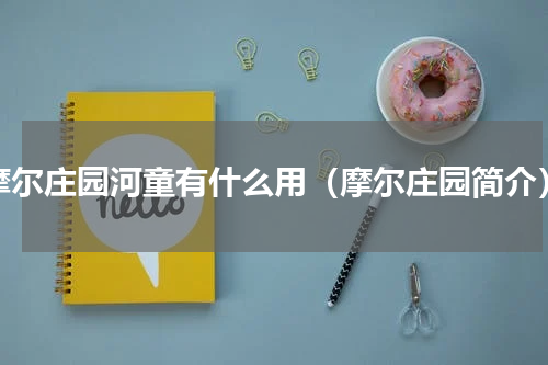 摩尔庄园河童有什么用（摩尔庄园简介）