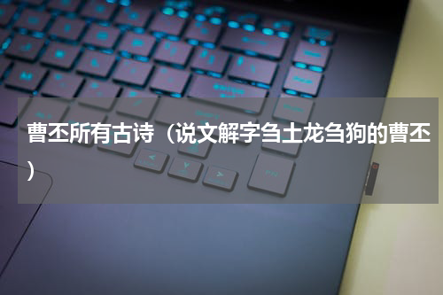 曹丕所有古诗（说文解字刍土龙刍狗的曹丕）