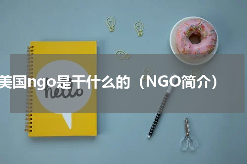 美国ngo是干什么的（NGO简介）