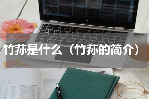 竹荪是什么（竹荪的简介）