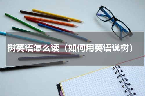 树英语怎么读（如何用英语说树）