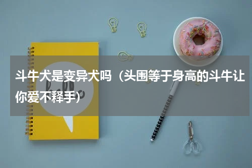 斗牛犬是变异犬吗（头围等于身高的斗牛让你爱不释手）