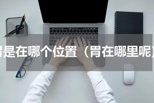 胃是在哪个位置（胃在哪里呢）
