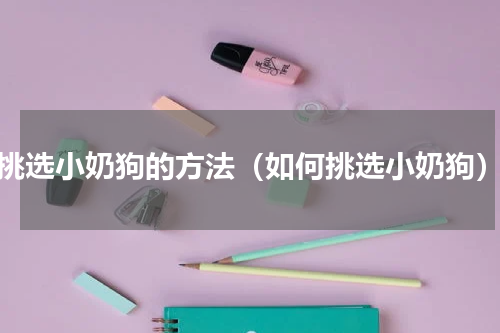 挑选小奶狗的方法（如何挑选小奶狗）