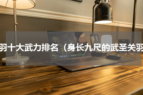 关羽十大武力排名（身长九尺的武圣关羽）