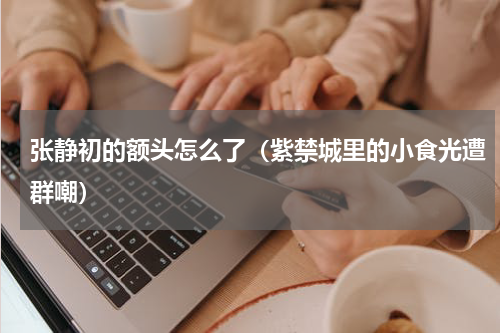张静初的额头怎么了（紫禁城里的小食光遭群嘲）