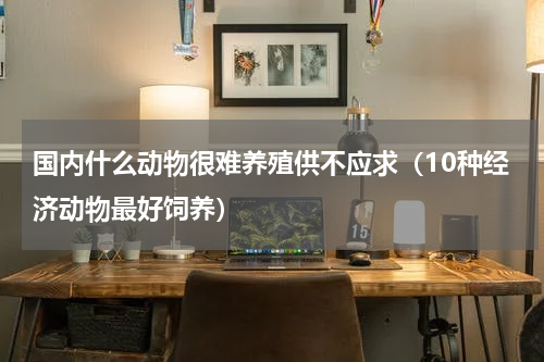 国内什么动物很难养殖供不应求（10种经济动物最好饲养）
