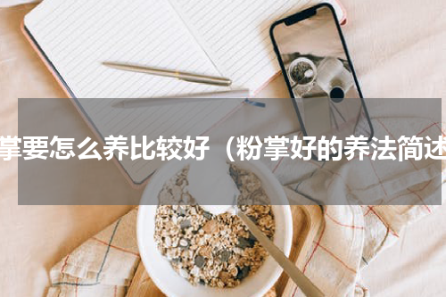 粉掌要怎么养比较好（粉掌好的养法简述）