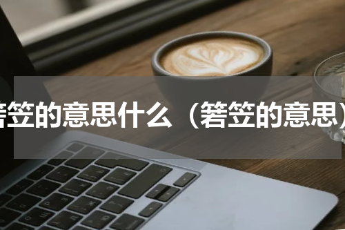 箬笠的意思什么（箬笠的意思）