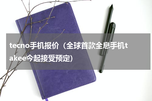 tecno手机报价（全球首款全息手机takee今起接受预定）