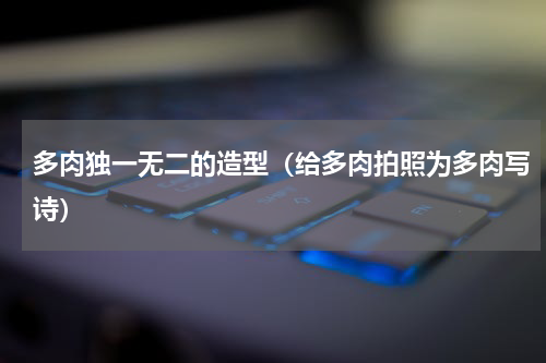 多肉独一无二的造型（给多肉拍照为多肉写诗）