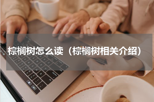 棕榈树怎么读（棕榈树相关介绍）