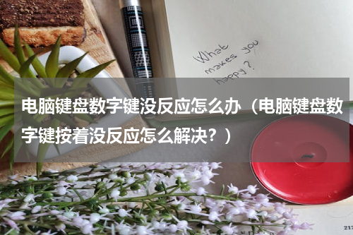 电脑键盘数字键没反应怎么办（电脑键盘数字键按着没反应怎么解决？）