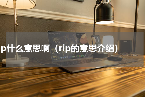 rip什么意思啊（rip的意思介绍）