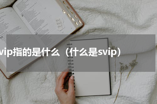 svip指的是什么（什么是svip）