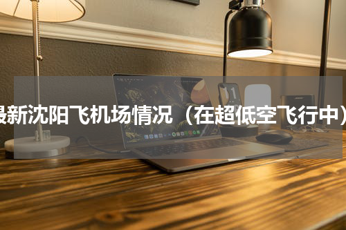 最新沈阳飞机场情况（在超低空飞行中）